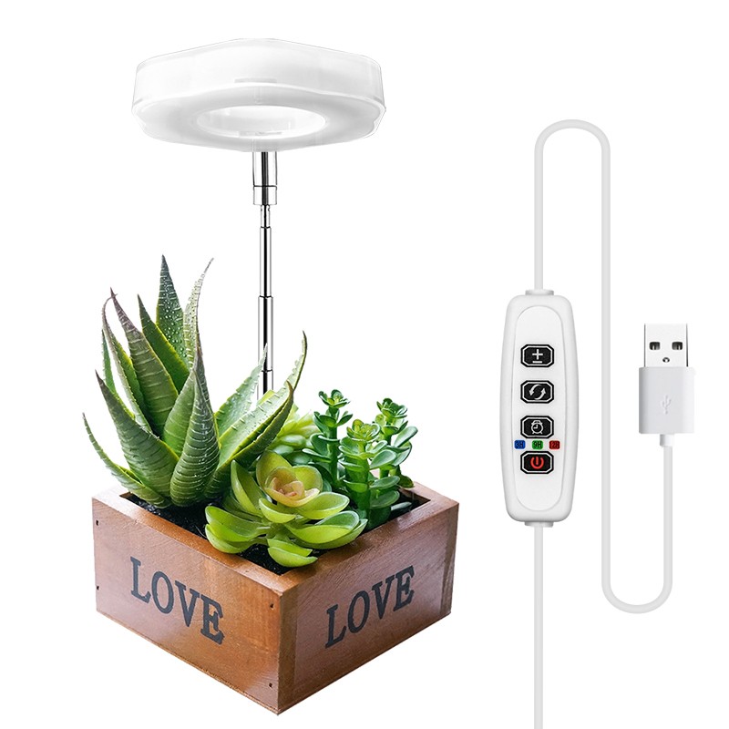 lichte planten groeien onder de lamp