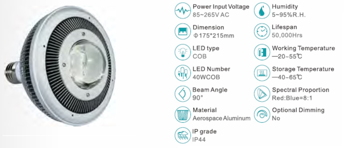 LED-lamp plant