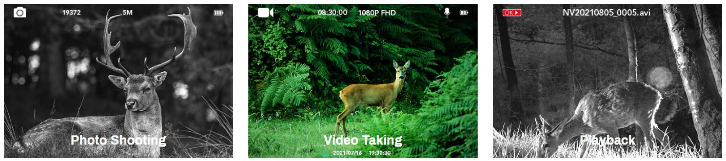 nachtzicht in het bos en monoculair