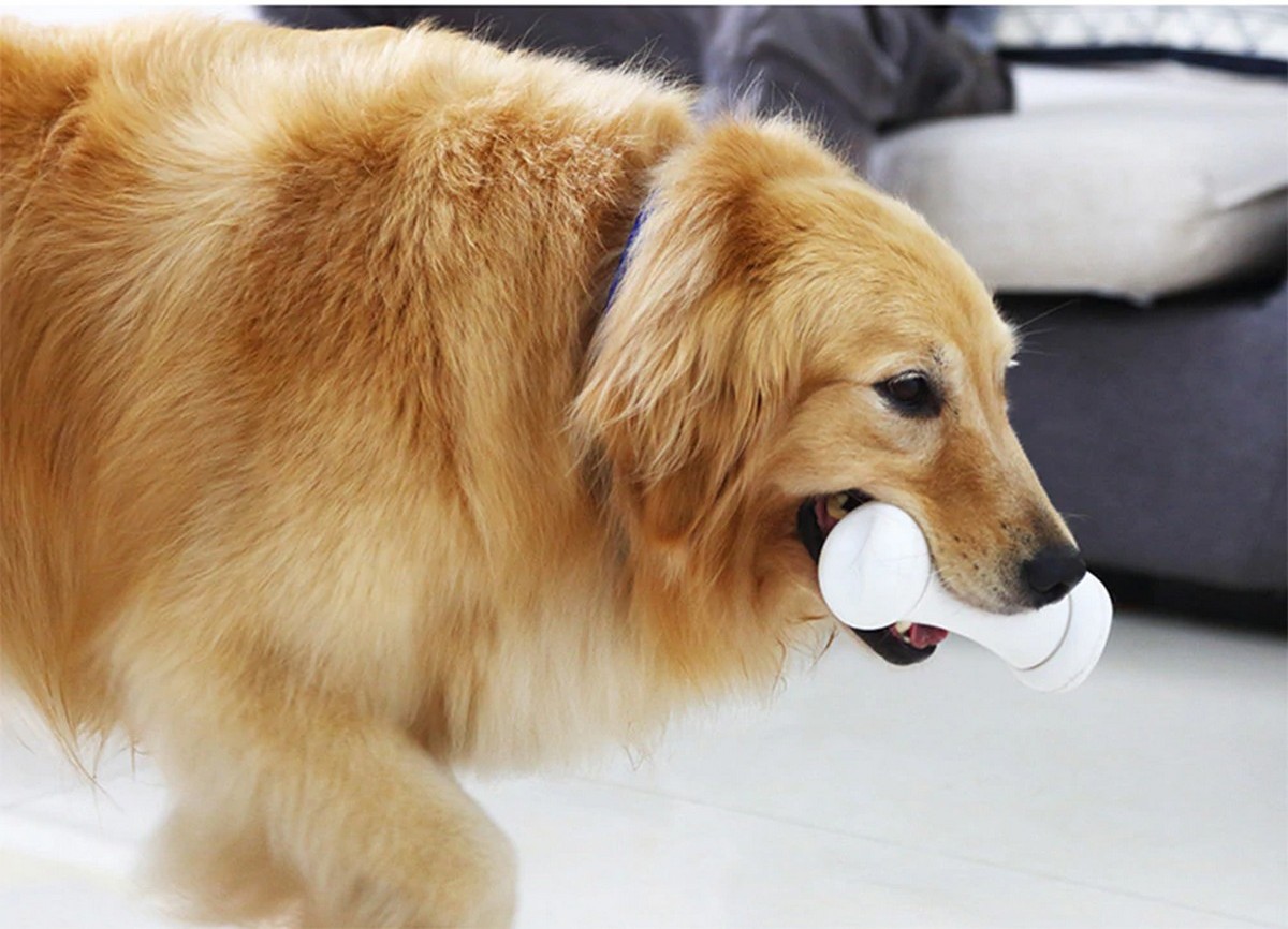 slim botspeelgoed voor honden slecht bot